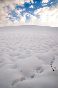 Winter cold nature photo