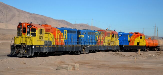 Desert color chile photo