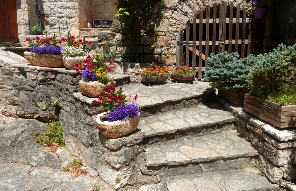 Village flower stones