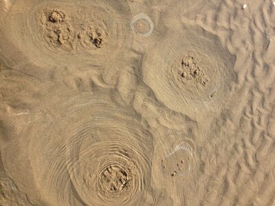 Nature bubbles texture