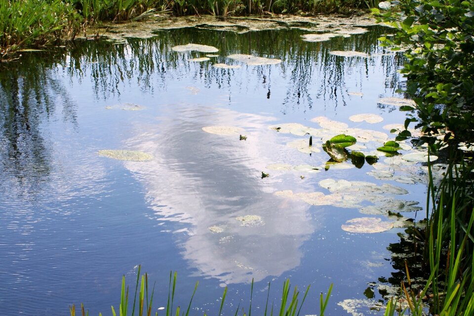 Sky water nature