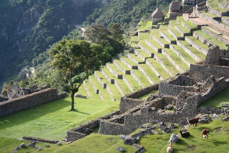 Trail machu picchu photo