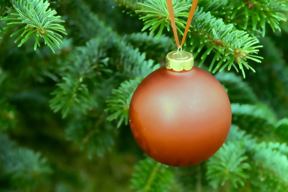 Christmas ornament christmas ornaments christmas