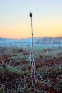 Nature field landscape