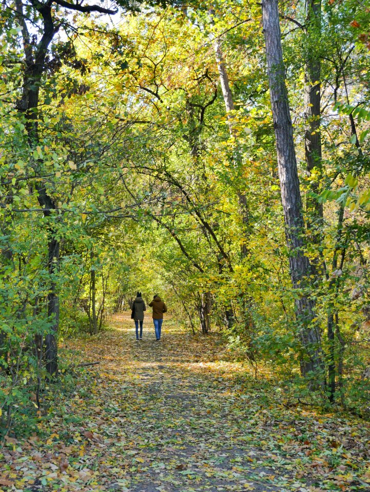 Autumn people pathway