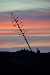 Beach romantic abendstimmung photo