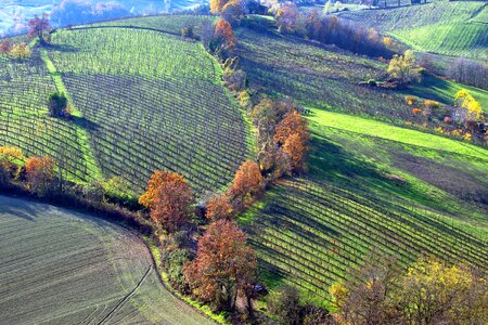 Italy vineyards hills langhirano