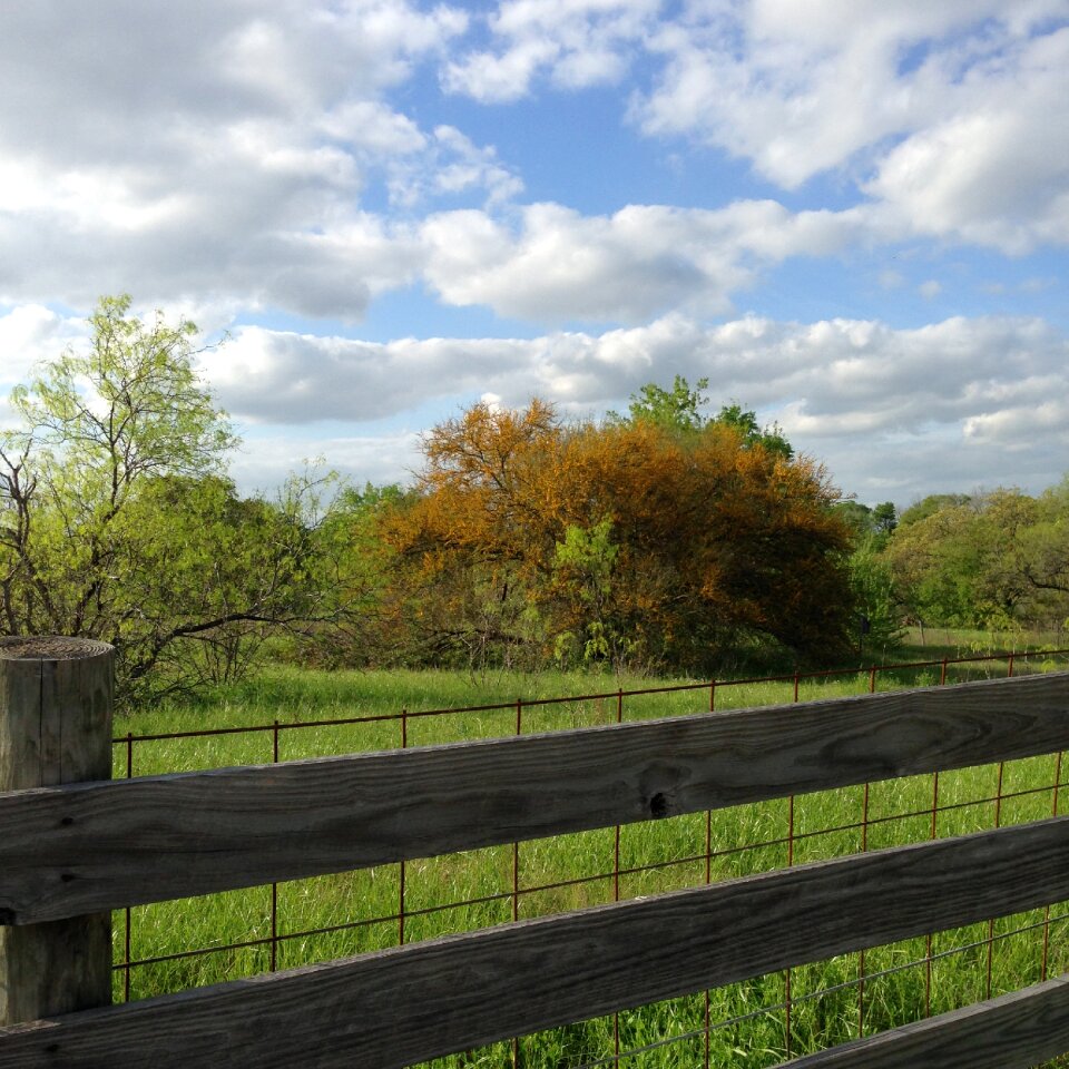 Countryside fence grass