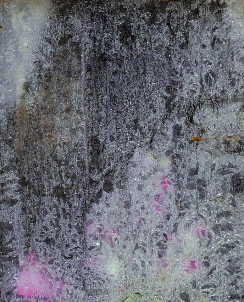 Winter hardest old window
