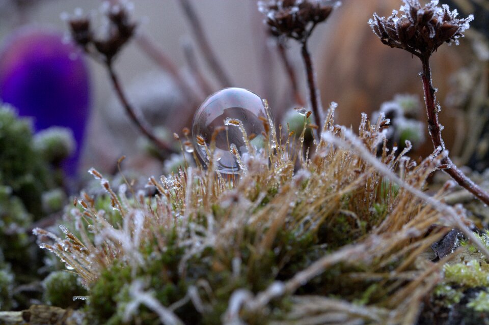 Frozen cold freeze