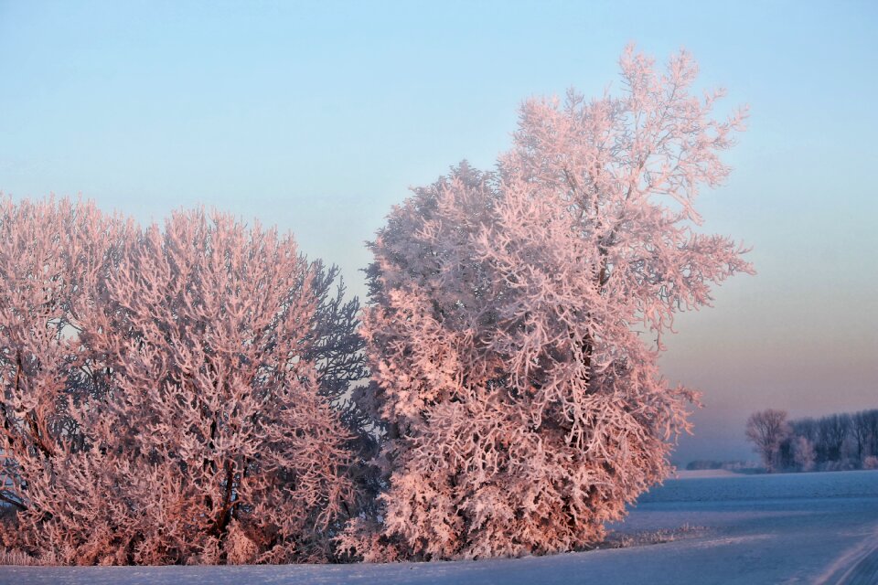 Snow cold ice fog photo