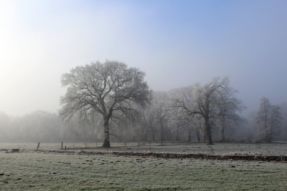 Cold wintry sun photo