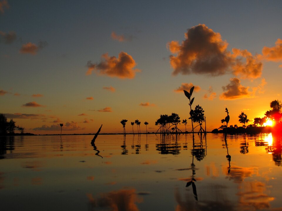 Mauritius romance sea