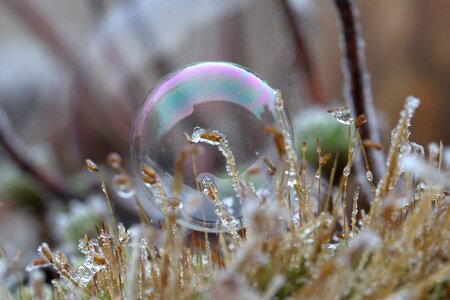 Frozen cold freeze