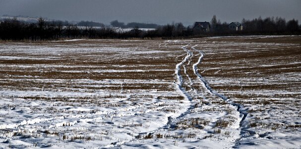 Traces field the silence photo