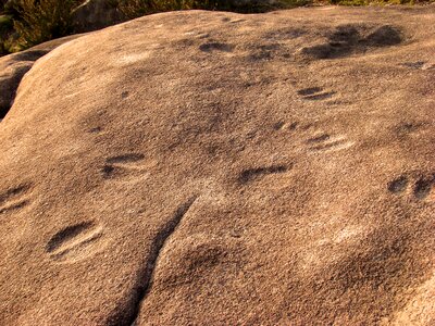 Pedra das riding rock engravings cotobade photo