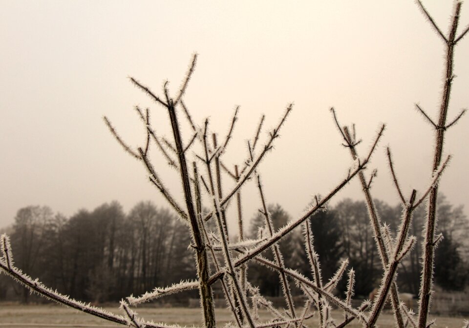 Incomplete cold winter