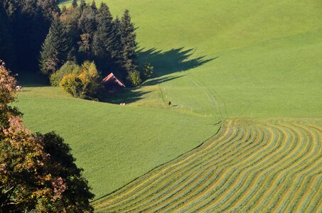 Hay meadow landscape