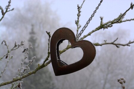 Love frozen icy