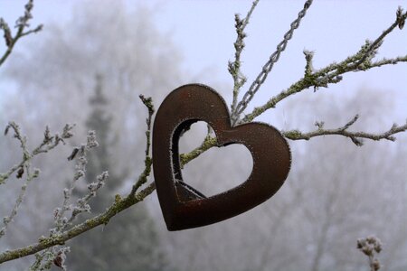 Love frozen icy photo