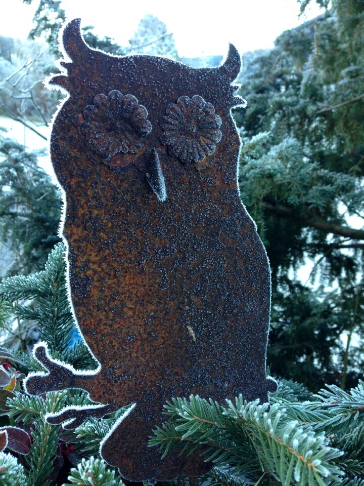Eiskristalle winter cold