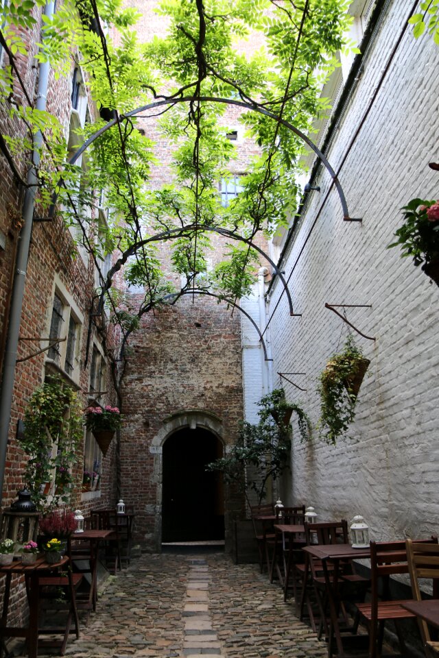 Cafe antwerp belgium