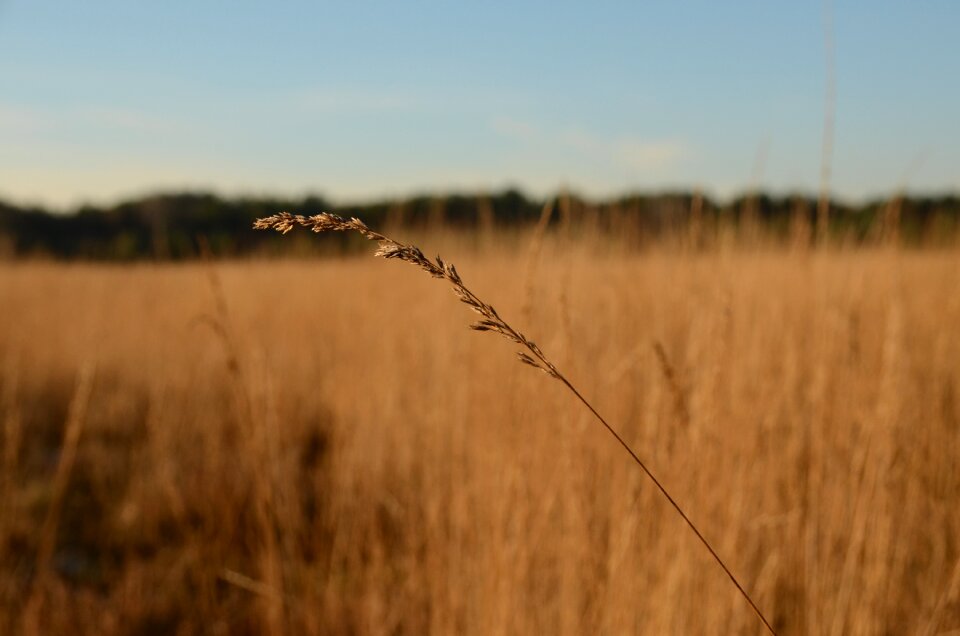 Cold landscape nature