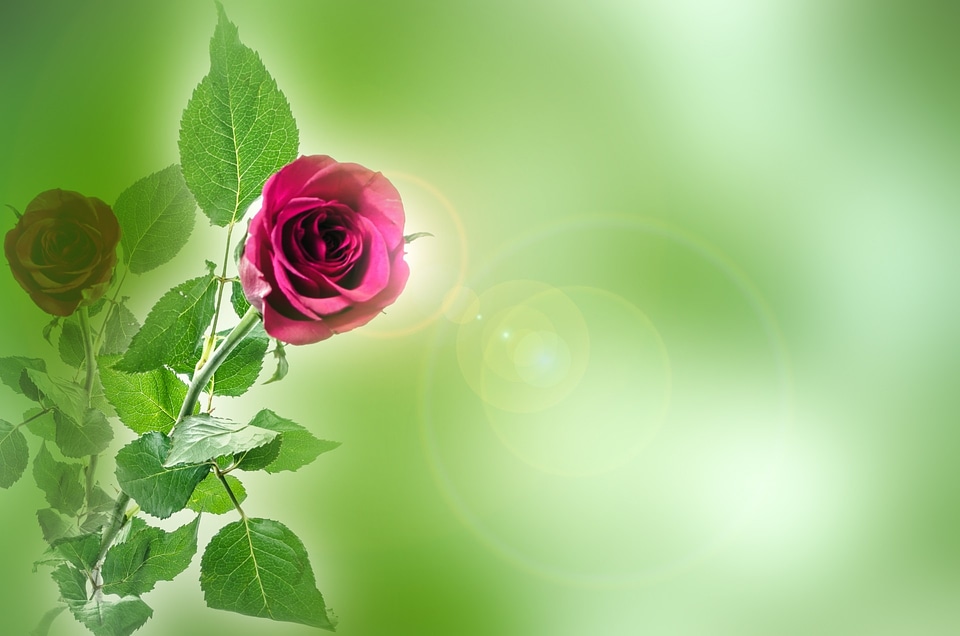 Love valentine' day anniversary
