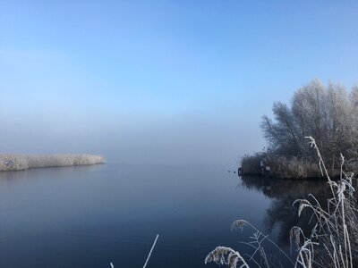 Lake winter reed