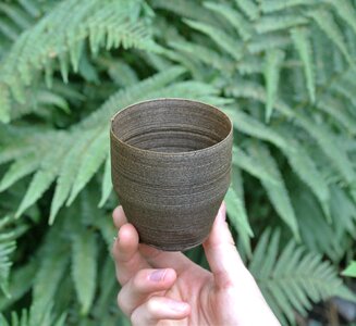 Sustainability eco organic