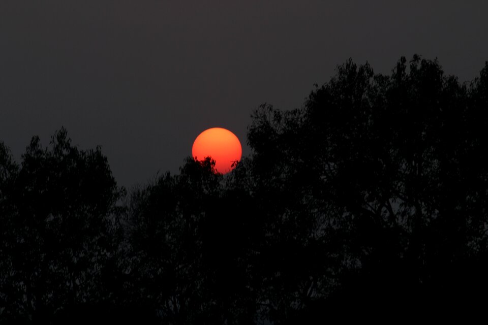 Silhouette moon dark