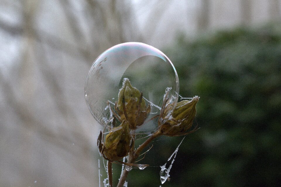 Frozen cold freeze