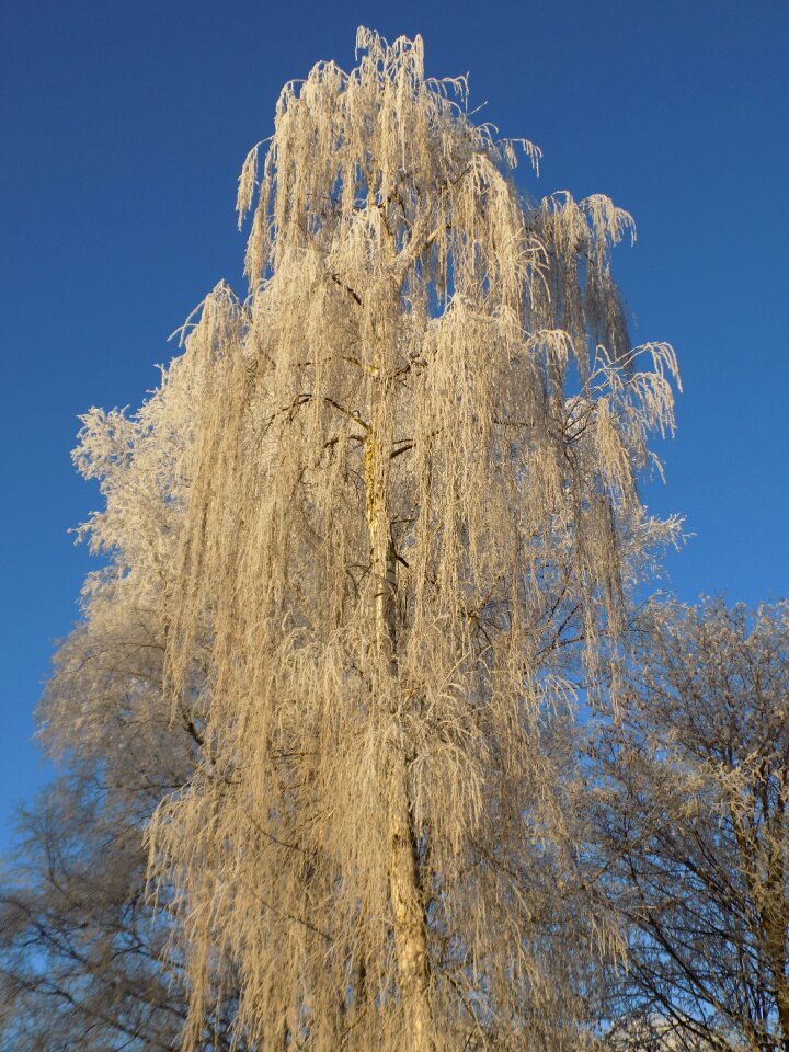 Ice sky sunshine