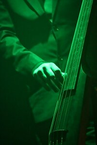 Musician concert double bass photo