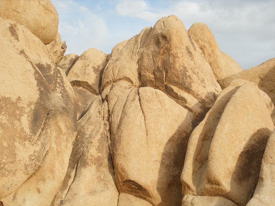 Joshua tree national park moja mojave desert photo