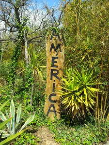 South america nature rainforest