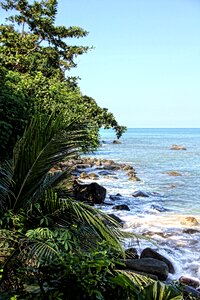 Water palm trees summer photo