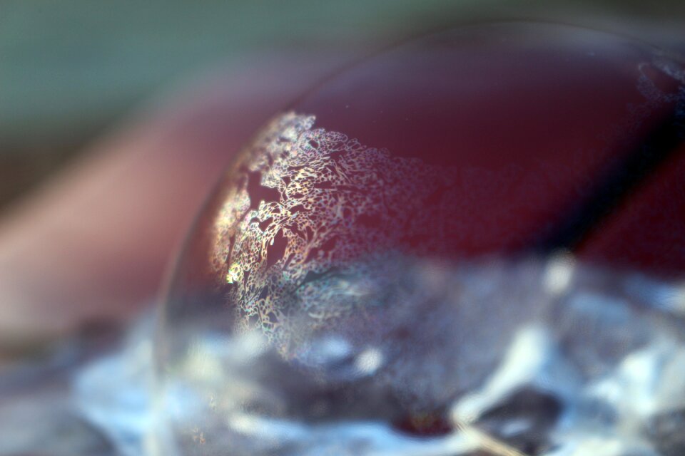 Bubble winter cold