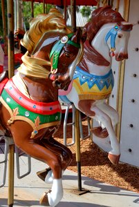 Fun carousel ride photo