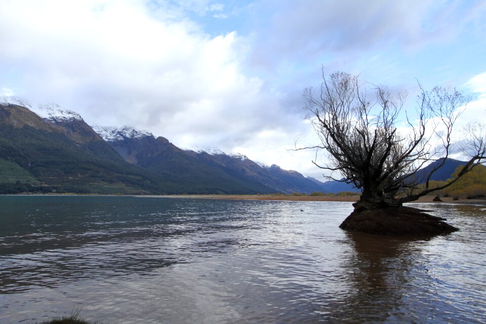 New zealand lake view water the tree