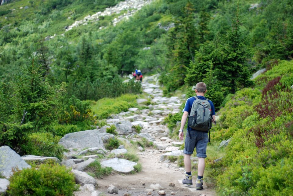 The path mountain road route photo