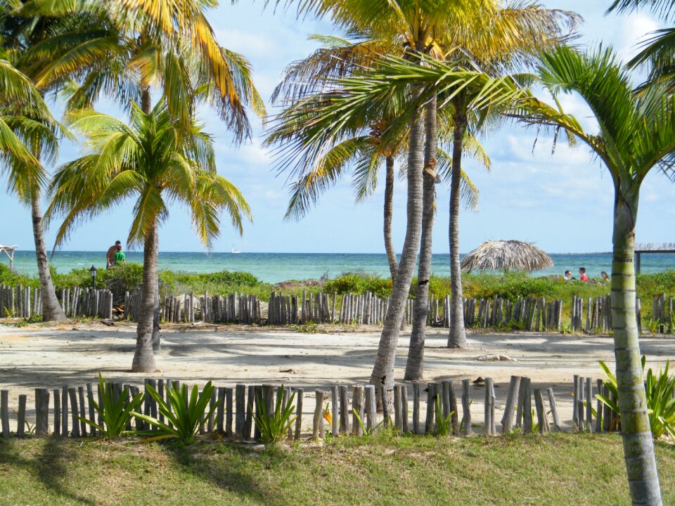 Beach cayo guillermo