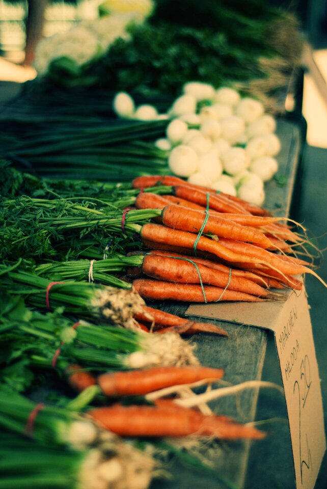 Fresh called rothmans agriculture