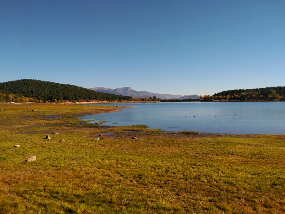 Water nature shore