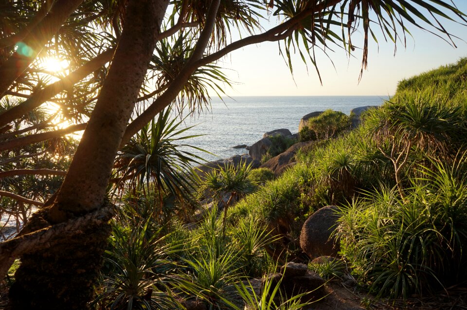 Sea summer sun