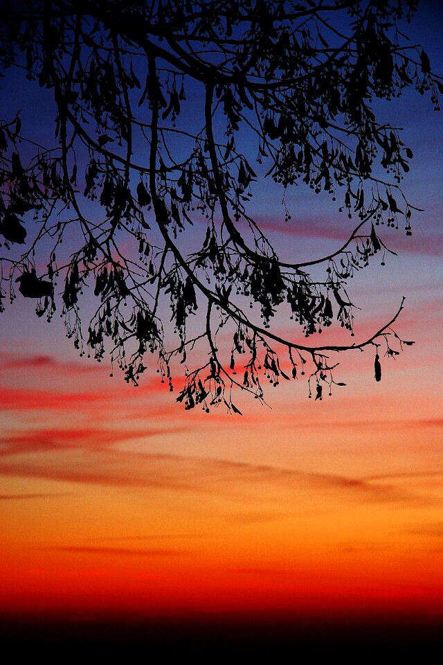 Mysterious afterglow abendstimmung