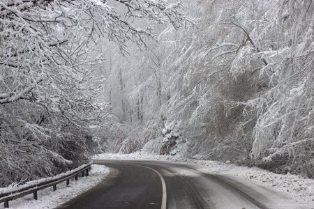 Road curve dangerous photo