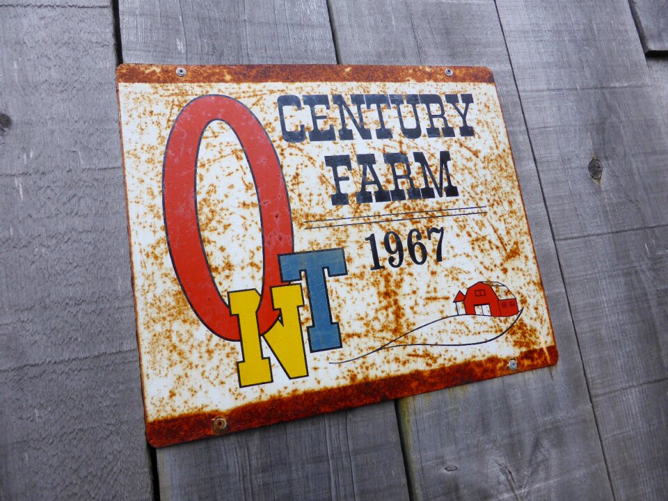 1967 antique barn board