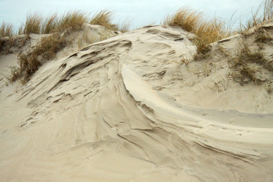 Sand beach background autumn