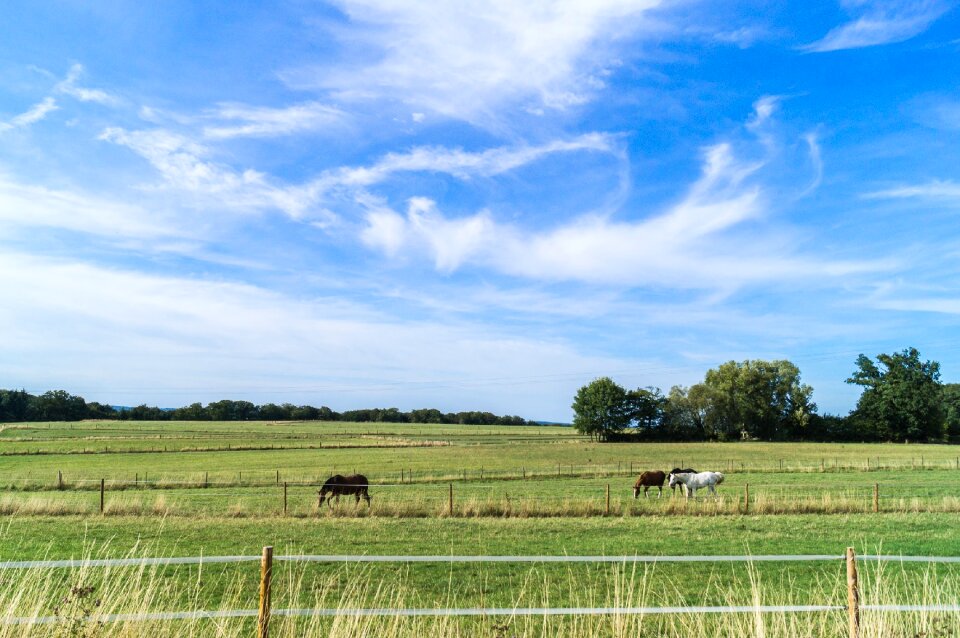 Nature landscape green